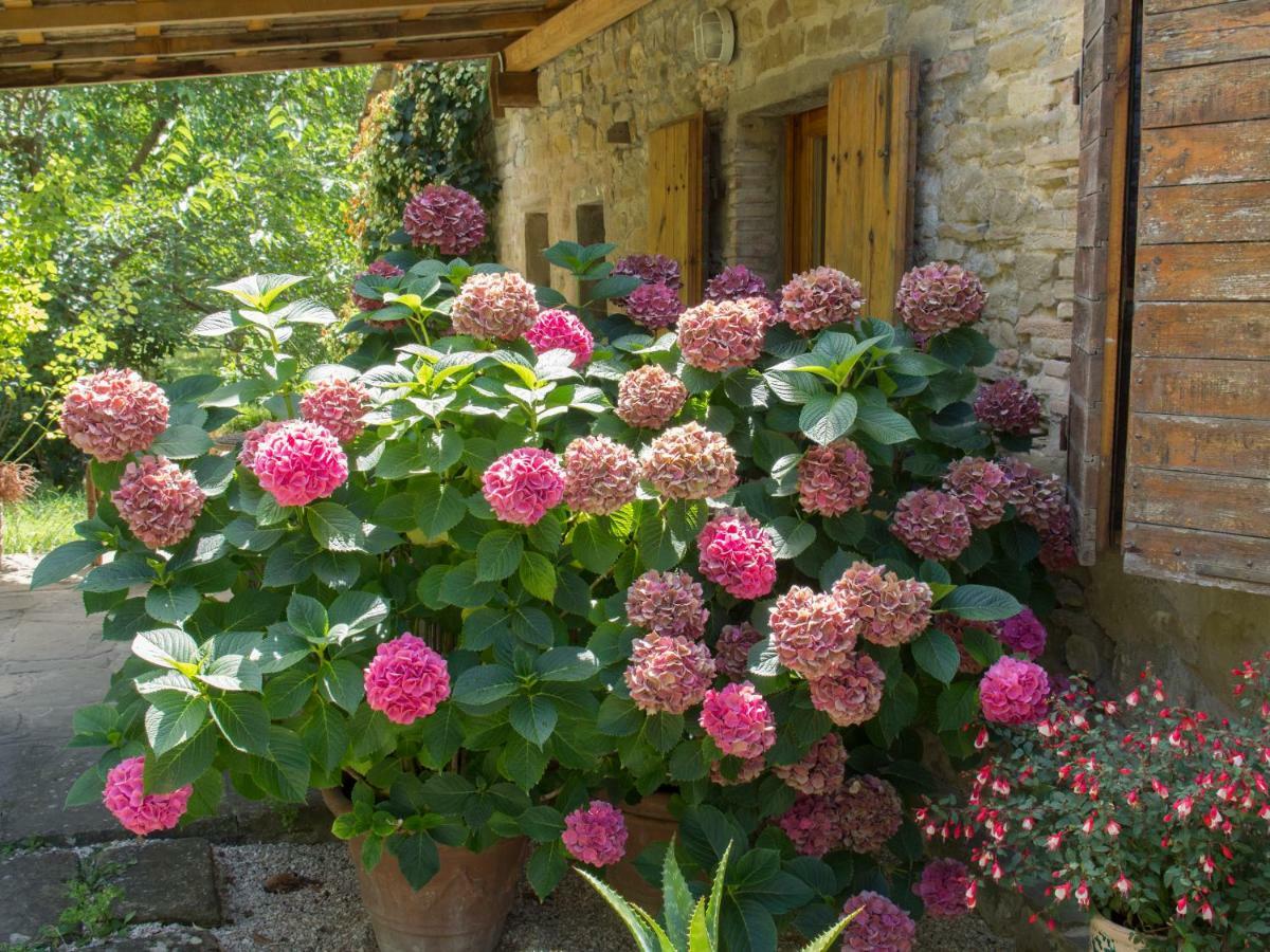 Casa La Valle, Gubbio, Frazione Santa Cristina Bed & Breakfast Exterior foto